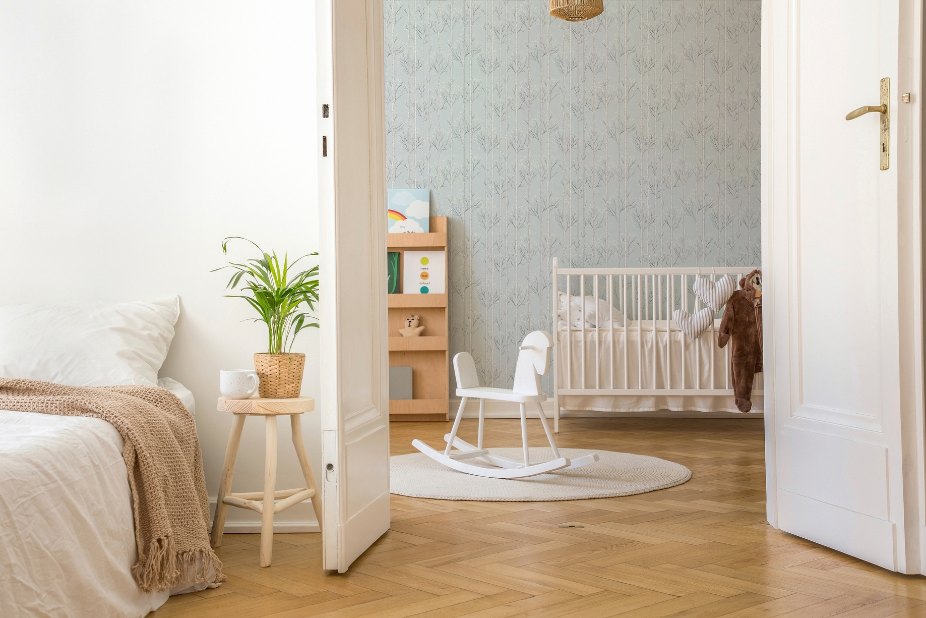Immagine di 