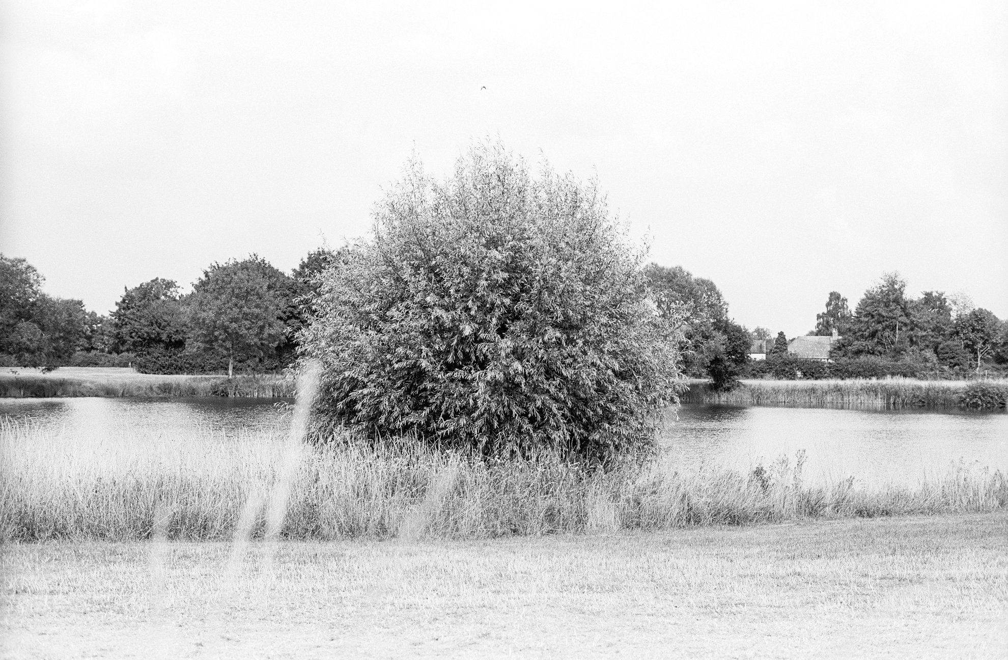 Churn Pool Fishery