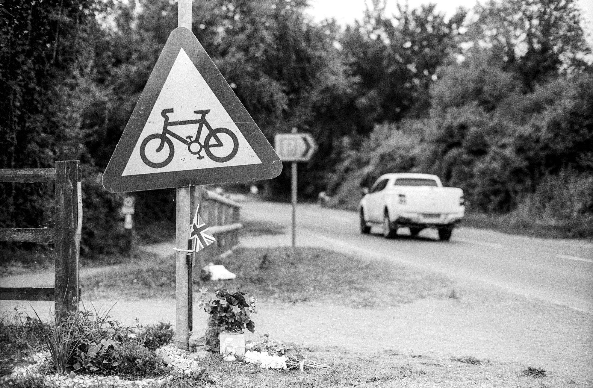 Roadside flowers