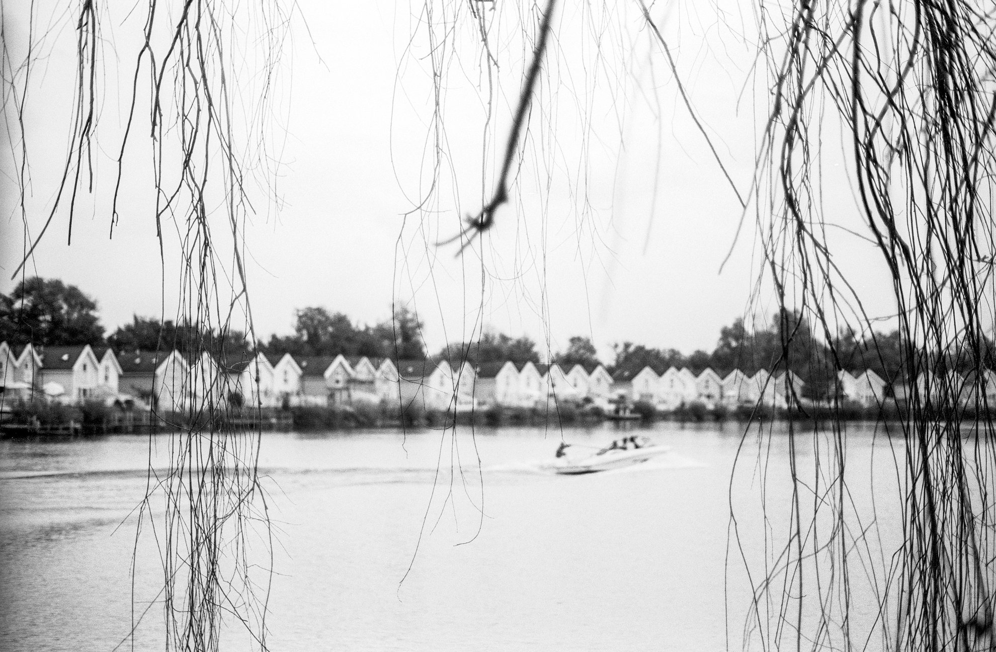 Water skiing on Spring Lake