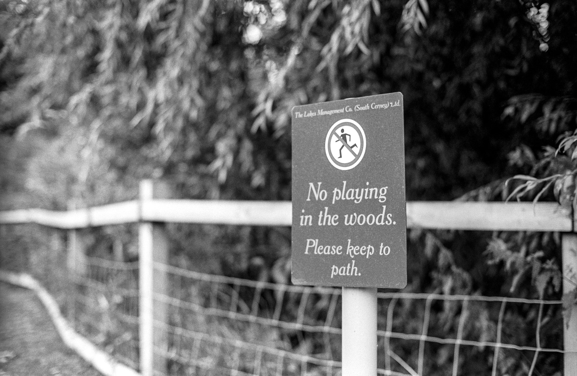 No playing in the woods