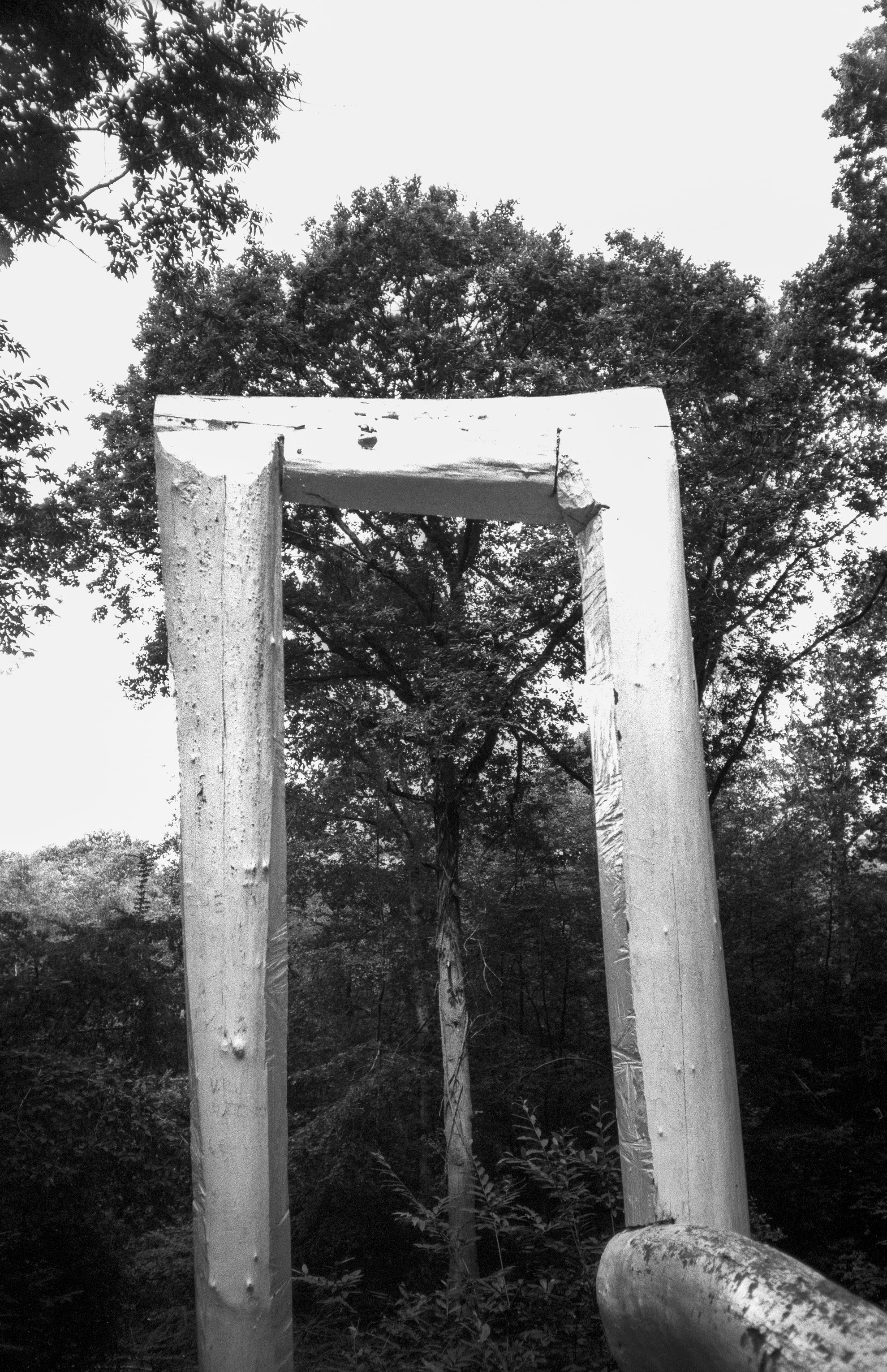 Forest of Dean Sculpture