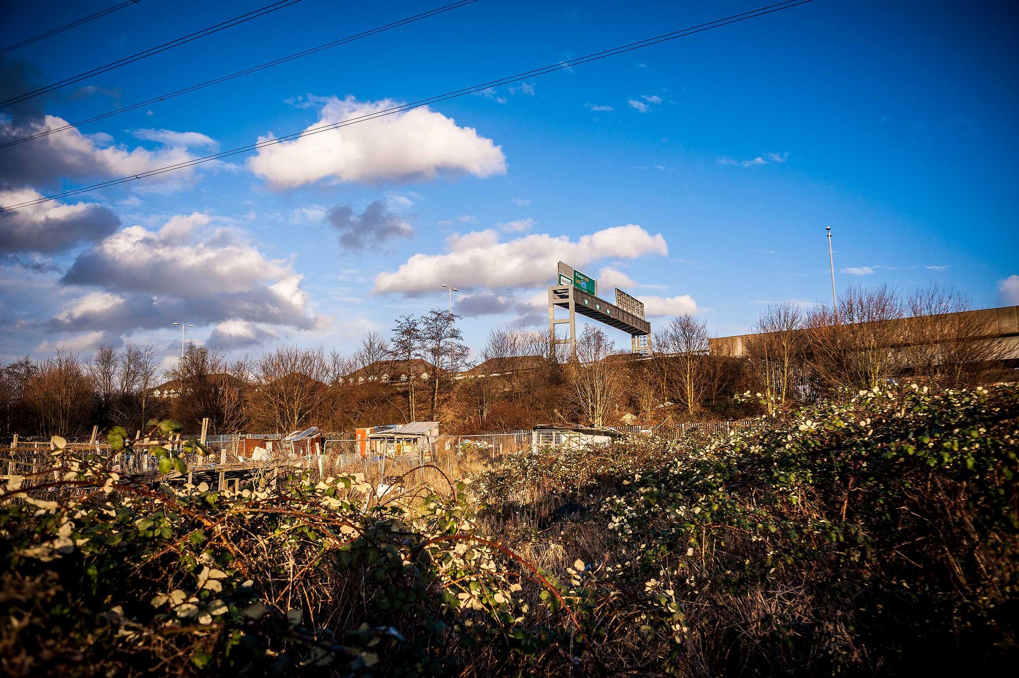 Allotments