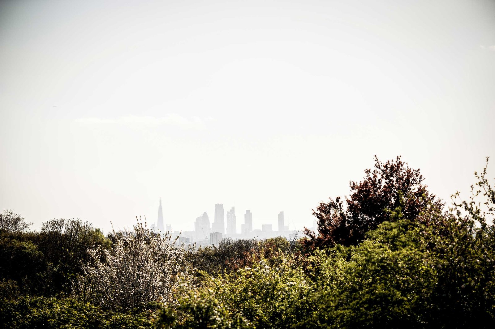 View of the London skyline from Woodford