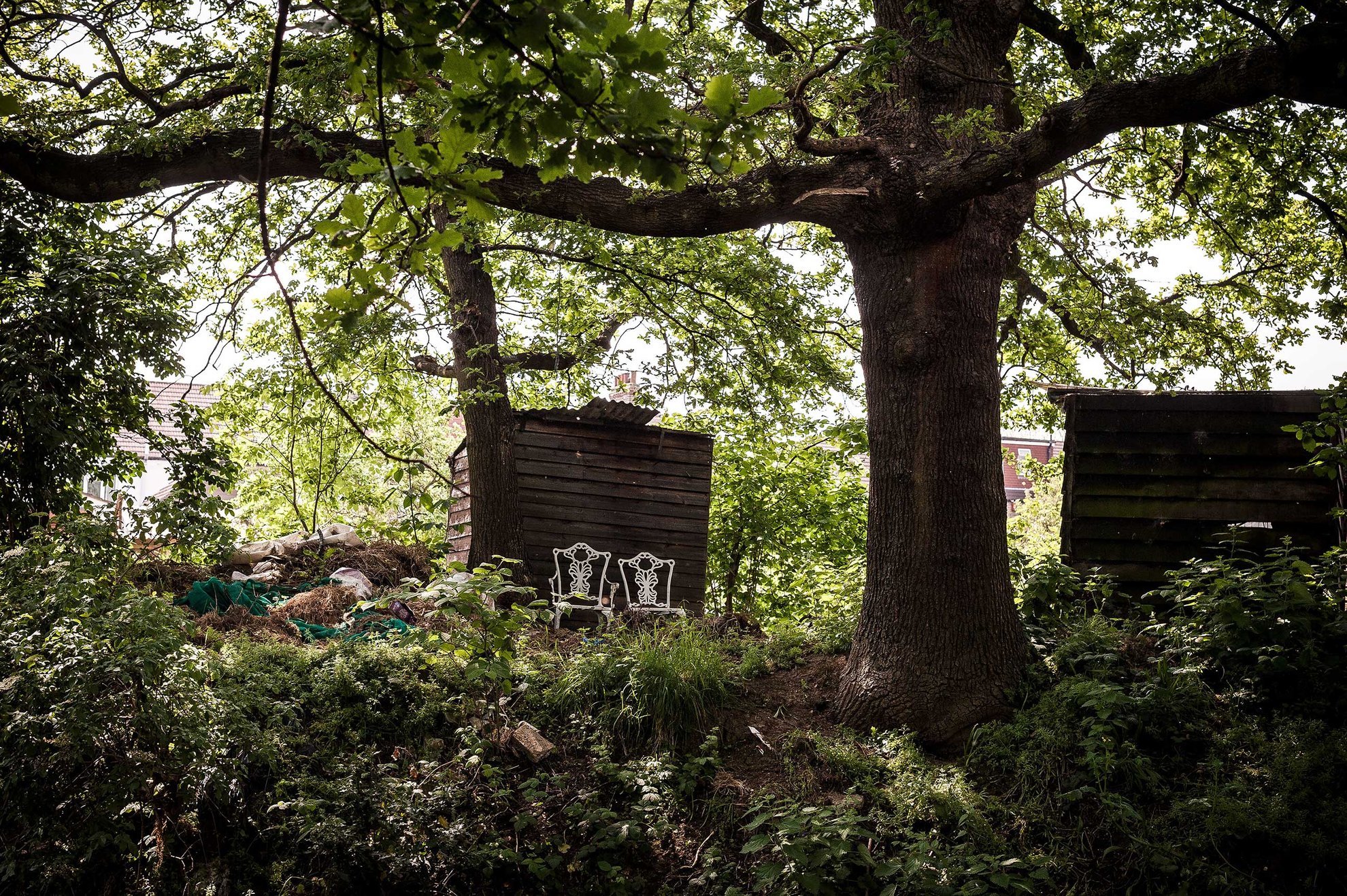 Fairbrook Allotments