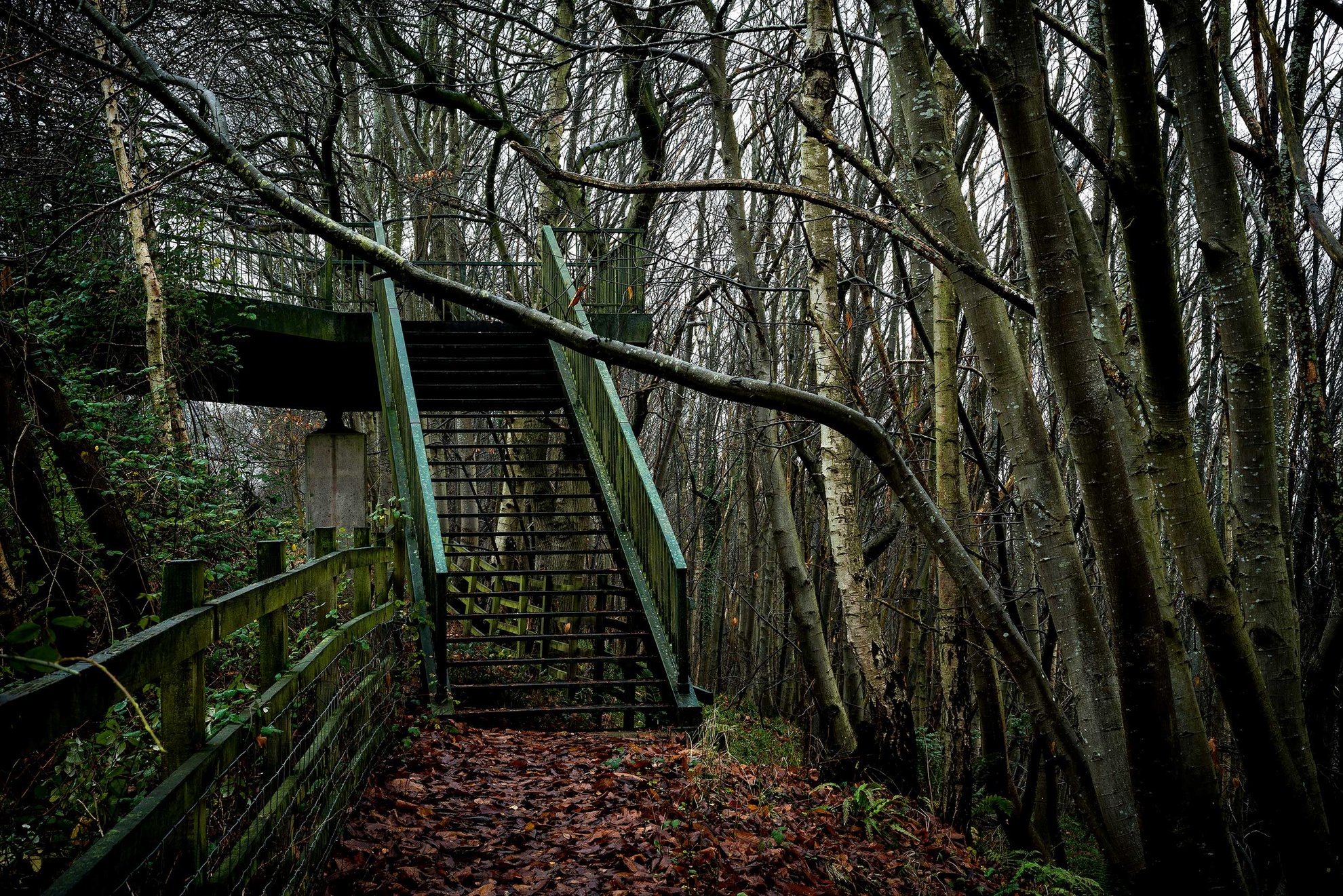 M5 Footbridge