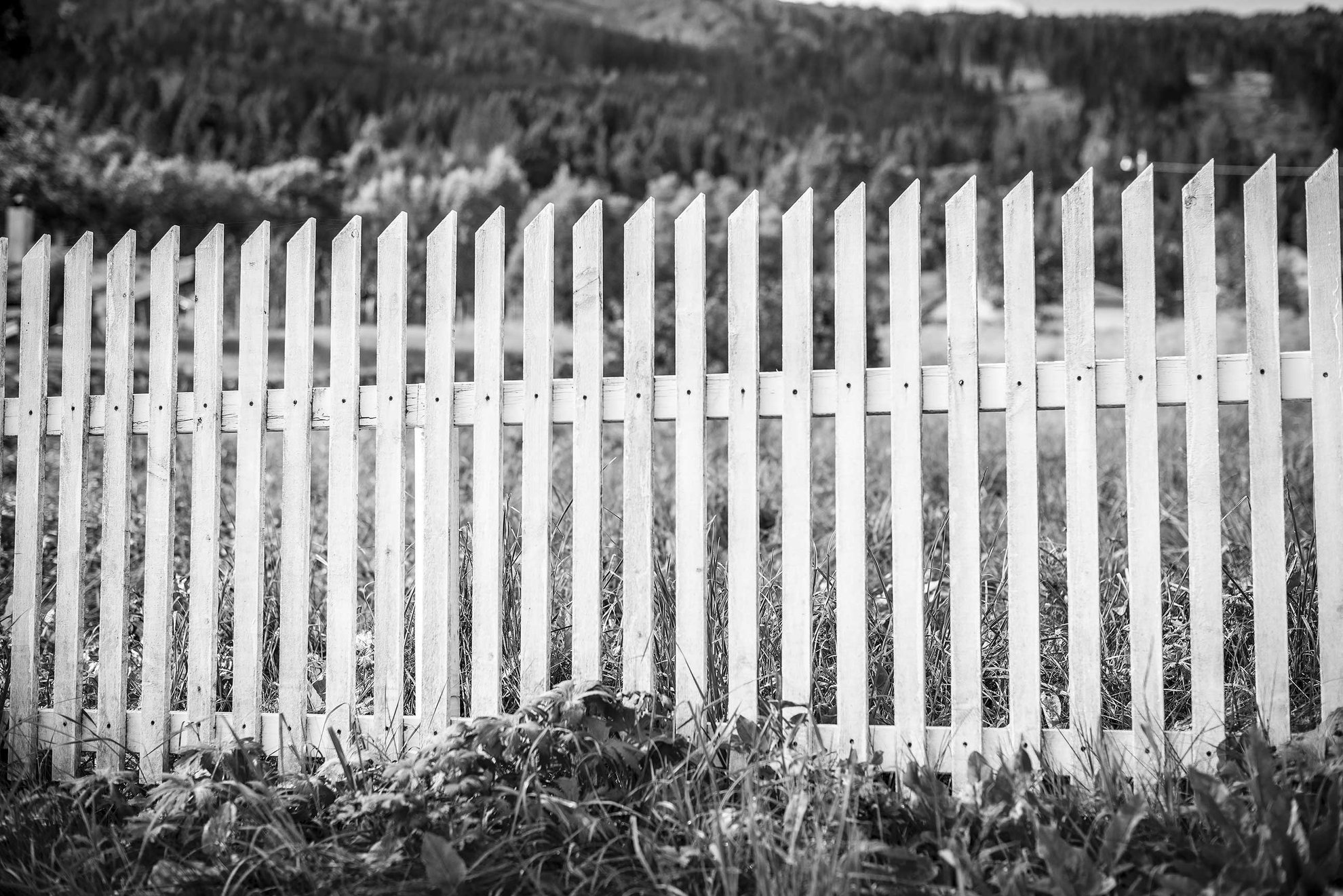 White Picket Fence. Balestrand, Norway