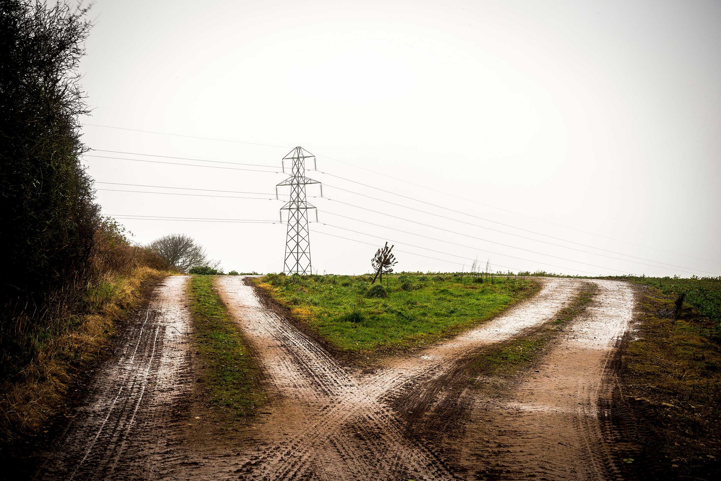A muddy rural track forks into two paths over a grassy ridge, with tyre marks, a lone sapling and an electricity pylon against an overcast sky.
