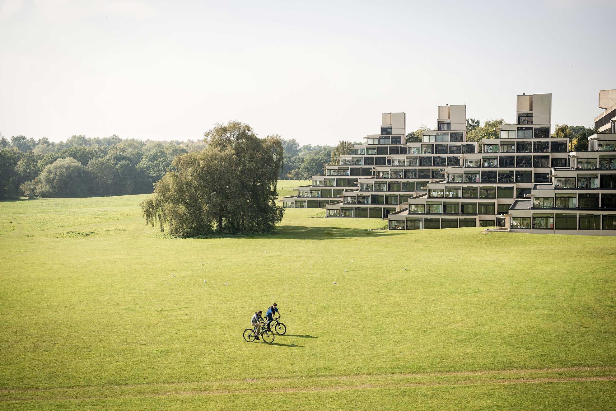 The UEA Ziggurats