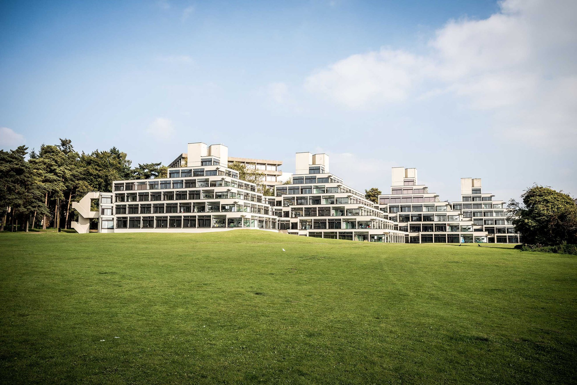 The UEA Ziggurats