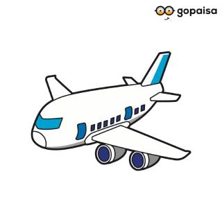 Get up to 25% off on Domestic Flights [Use Code - CTDOM]