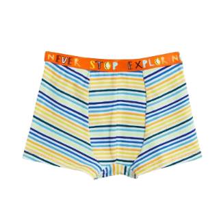 Buy Any Arcade Boys Trunks at Flat Rs.160 | Worth Rs.499