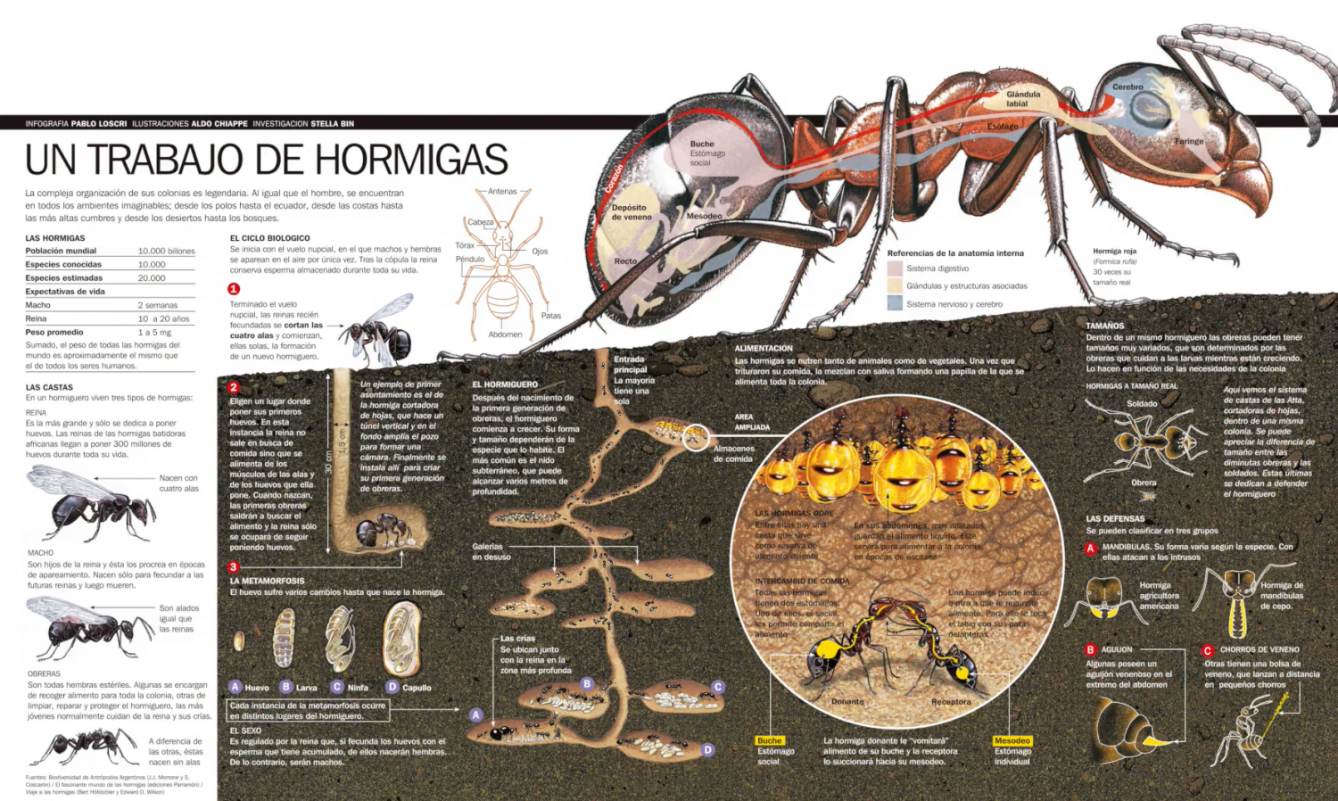 curso gratuito infografía