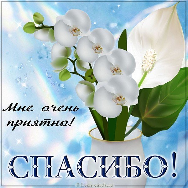 «Спасибо за победу!» Екатеринбуржцы поздравят ветеранов «олдскульным» способом. ФОТО