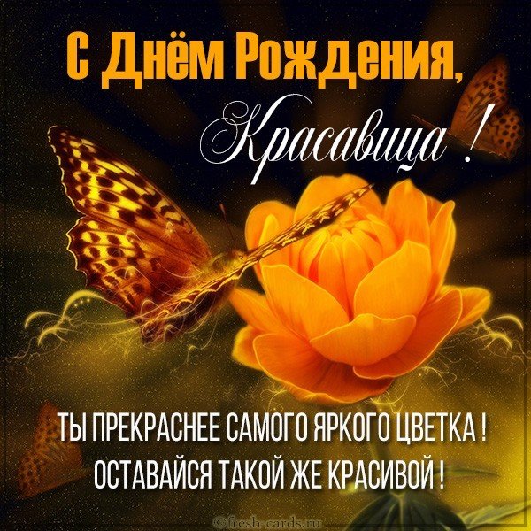 Картинка с днем рождения с цветами и бабочками