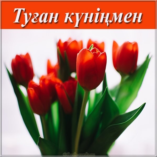 КАЗАХСКИЕ открытки с 8 марта с пожеланиями на казахском языке