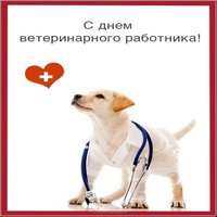 День ветеринара открытка