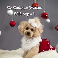 Открытка со старым новым годом собаки