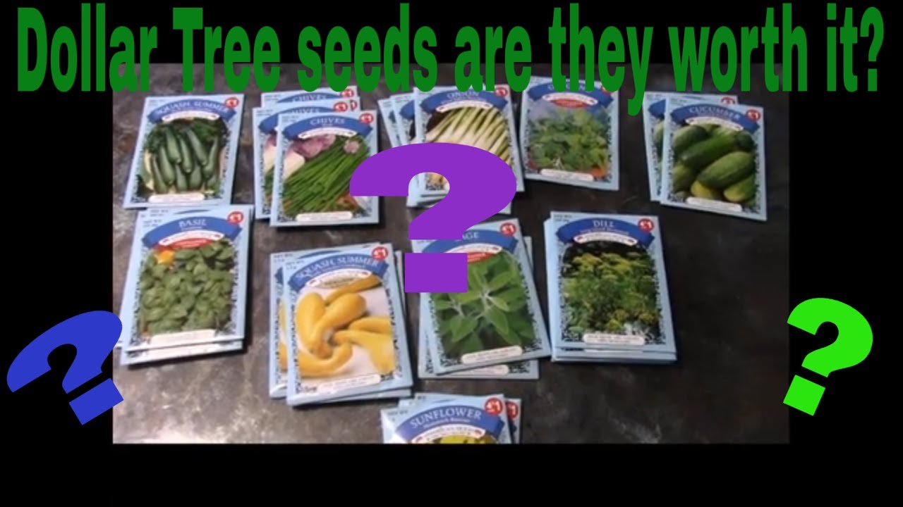 what are non gmo seeds