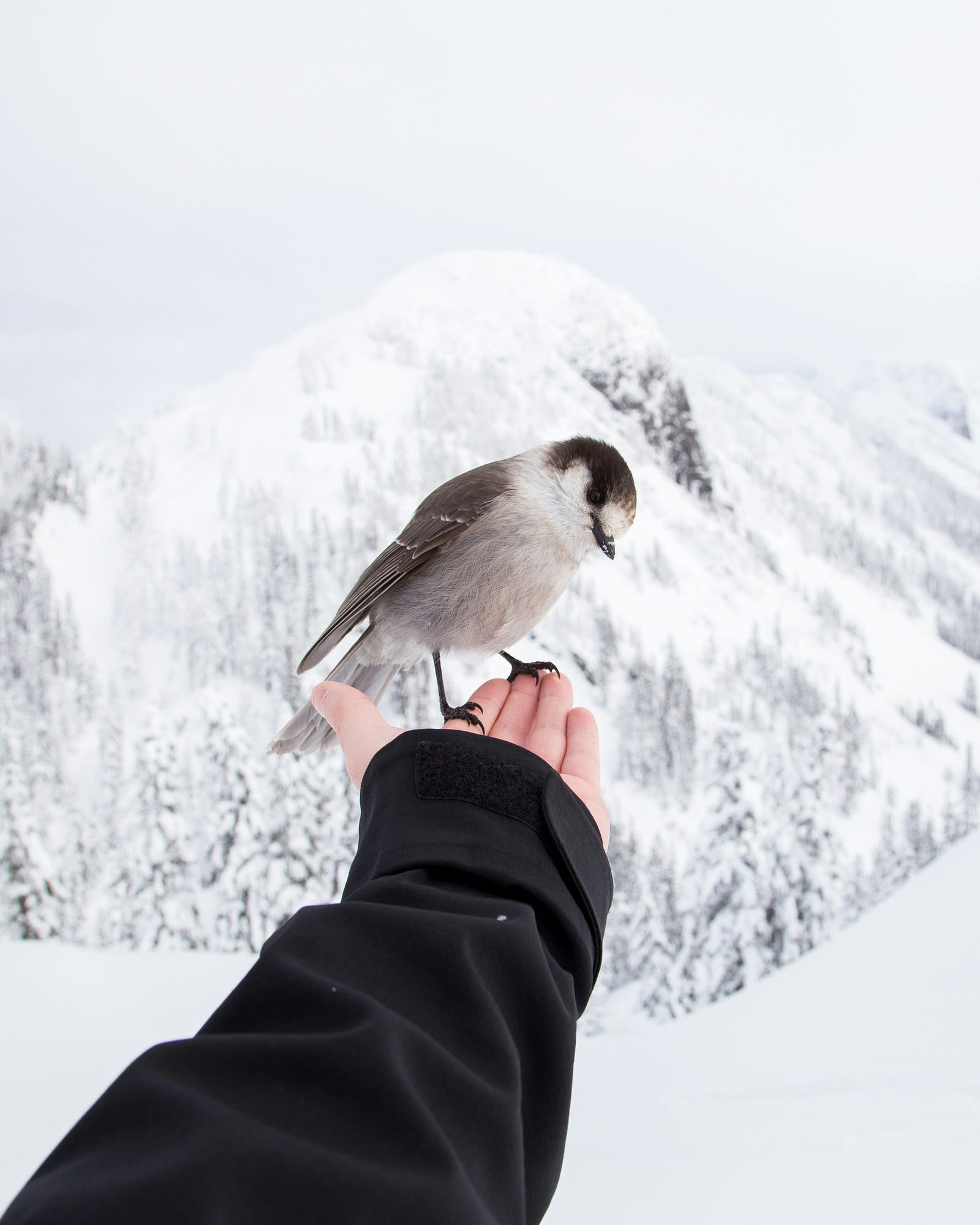 De kracht van loslaten — Foto van Kyle Szegedi — Unsplash