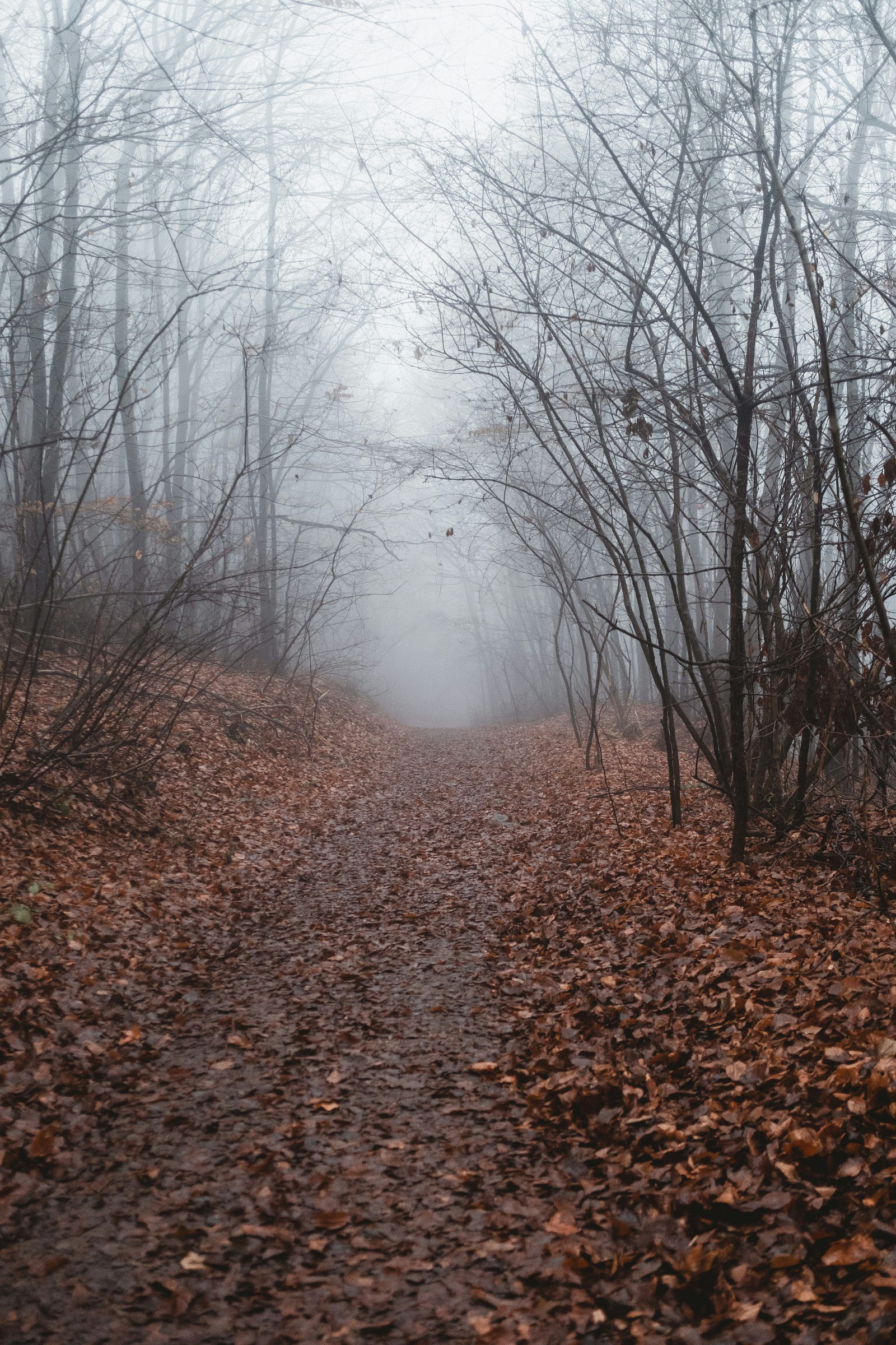 Foto Georgi Kalaydzhiev — Unsplash
