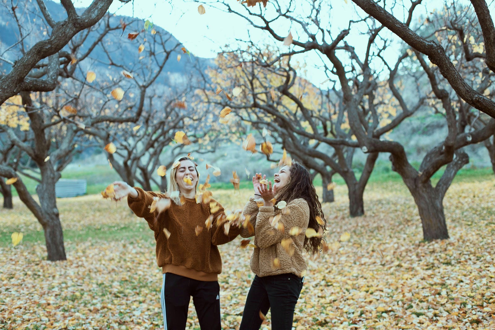 Foto Noemi Macavei Katocz — Unsplash