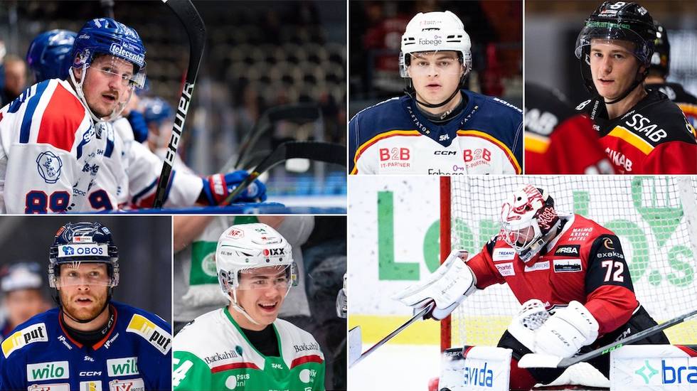SHL-lista: Här är de tio bästa värvningarna från Hockeyallsvenskan