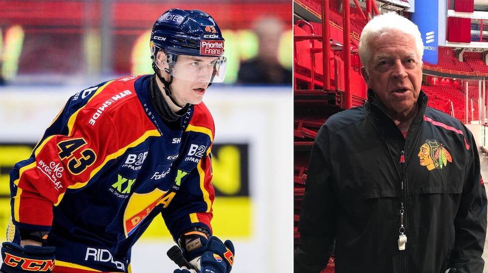 Djurgården Hockey: Nye coachen en överraskning för DIF-spelarna: 