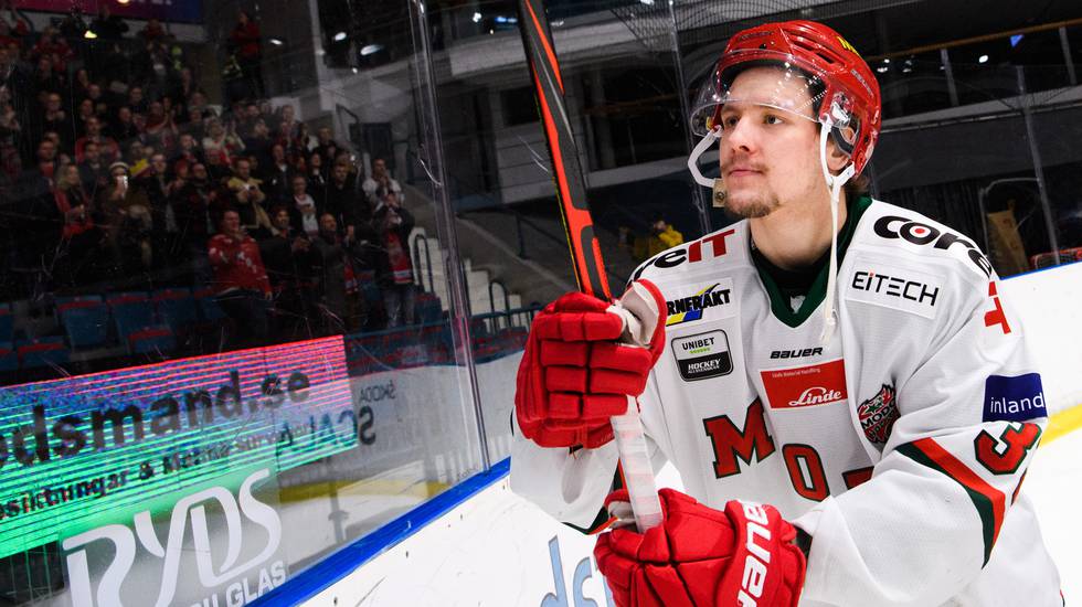 Luleå Hockey: Backen imponerade i Modo – nu har Luleås nyförvärv skrivit NHL-kontrakt