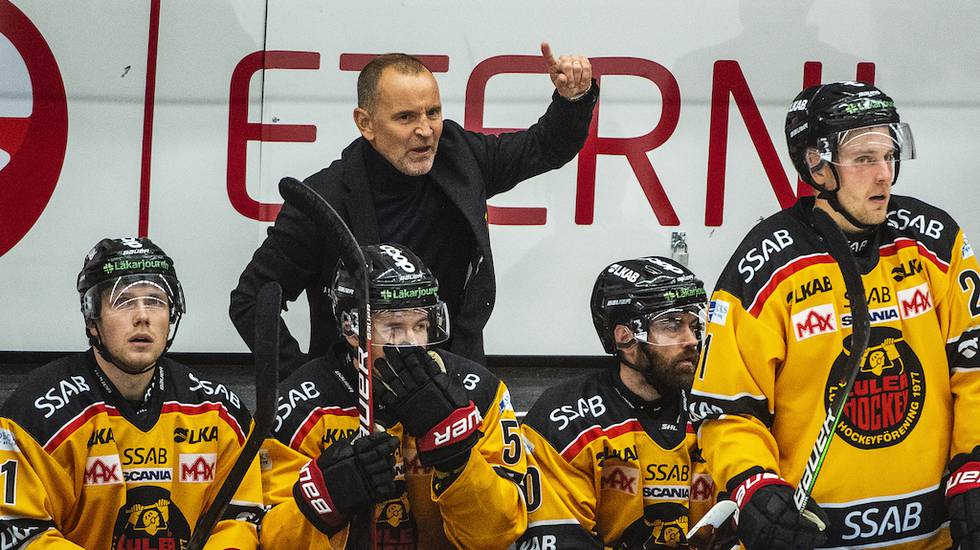 Luleå Hockey: Nio man borta i Luleå – huvudtränaren missar toppmatchen