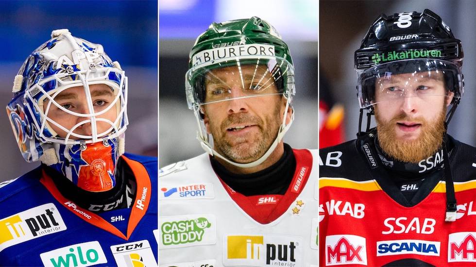 Luleå Hockey: Lista: Här är veckans fem bästa i SHL – och dags för några att näta!