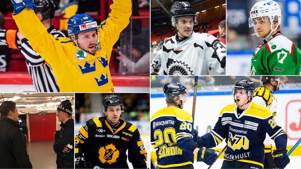 Här är tio SHL-svenskar som kan ta klivet till NHL i sommar