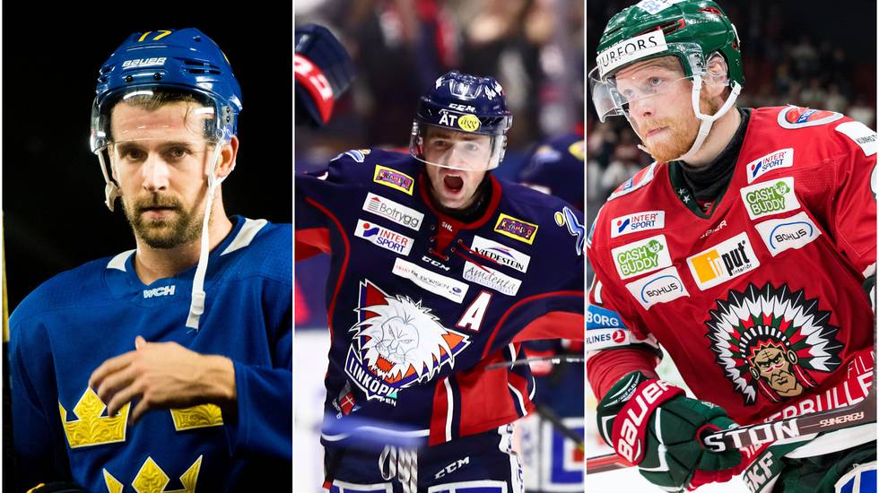 Djurgården Hockey: LISTA: Fem potentiella poängligavinnare i SHL nästa säsong