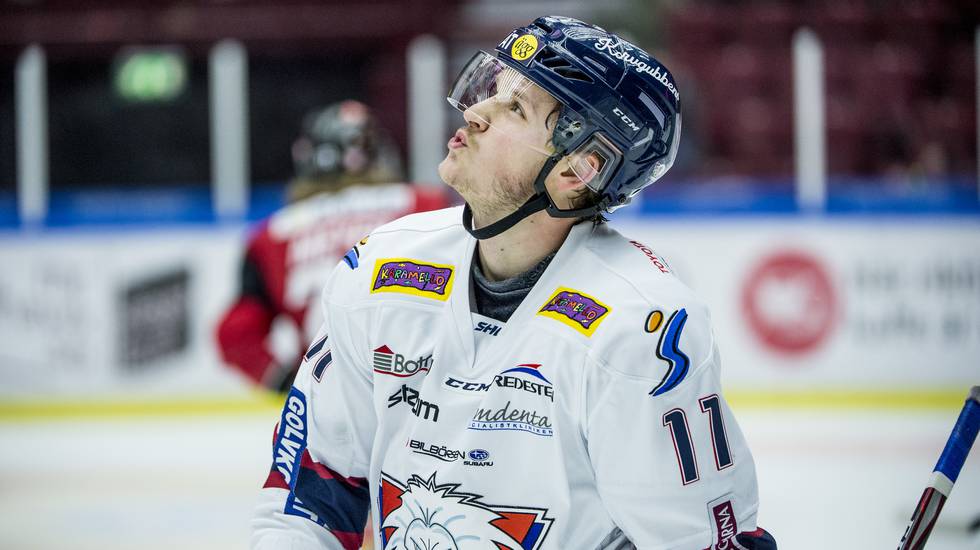 Linköping HC: Törnqvist revanschsugen efter tunga året: ”Tog inte tillvara på förtroendet”