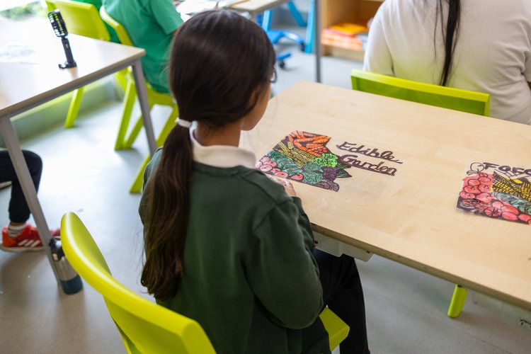 Child working on an edible garden art project at a desk, photographed over the shoulder at Olga Primary School