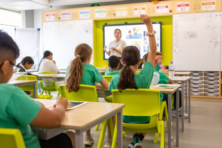 Classroom of children at desks, photographed from behind at Olga Primary School