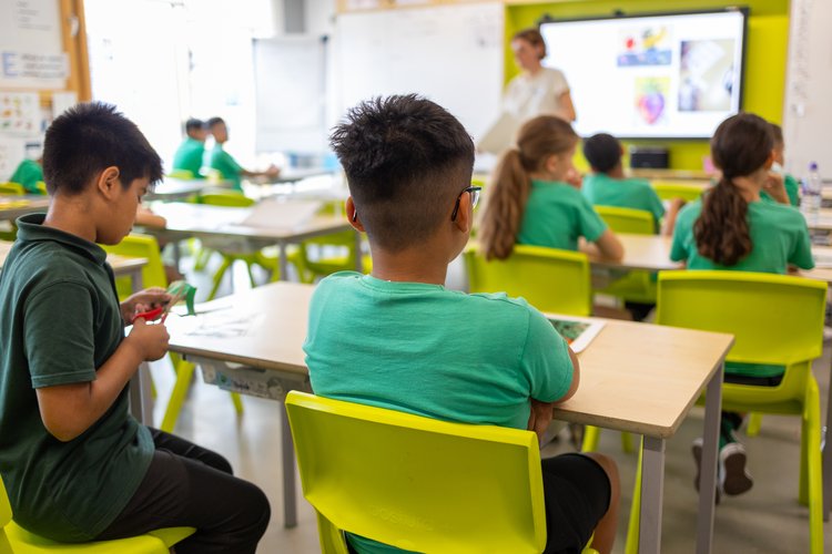 Children learning in a classroom, photographed from behind at Olga Primary School