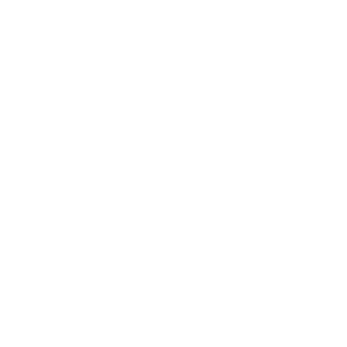 Staff verified by DBS Check Online — official government DBS provider