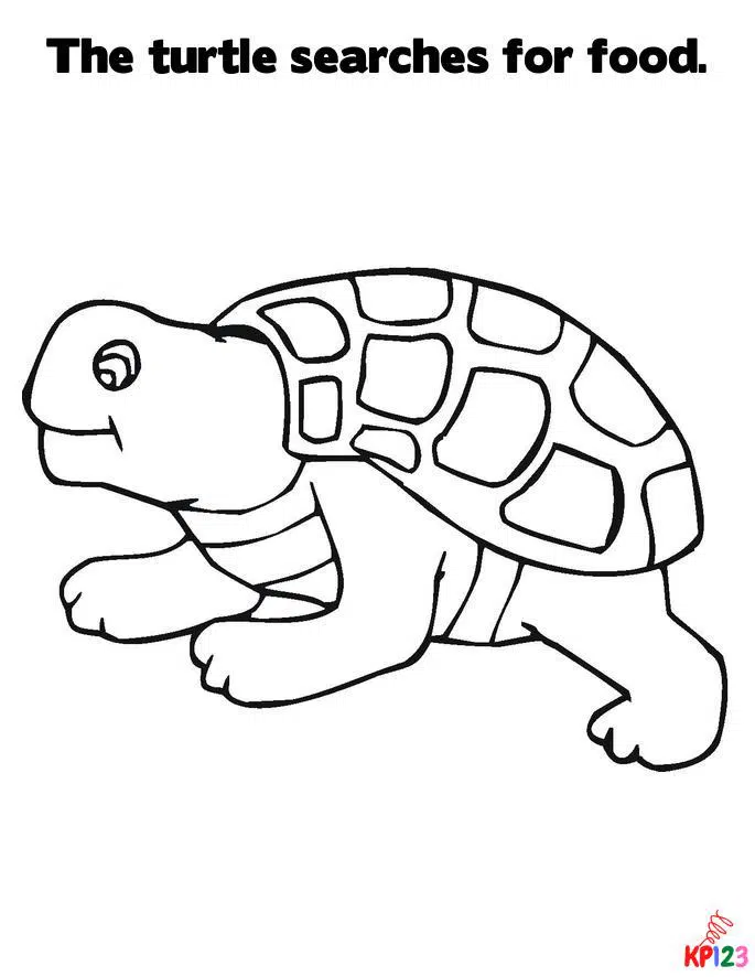 Schildpad2