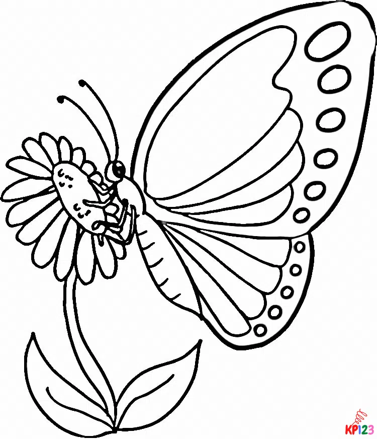 Vlinders 3