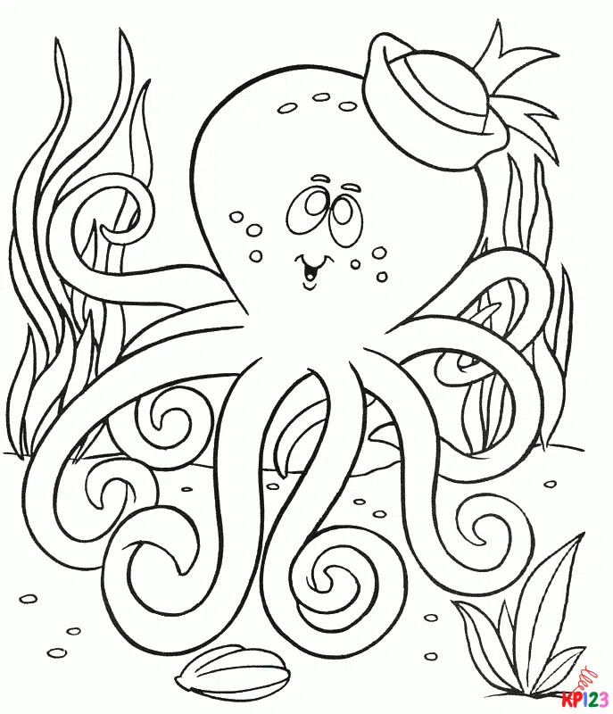 octopus 16