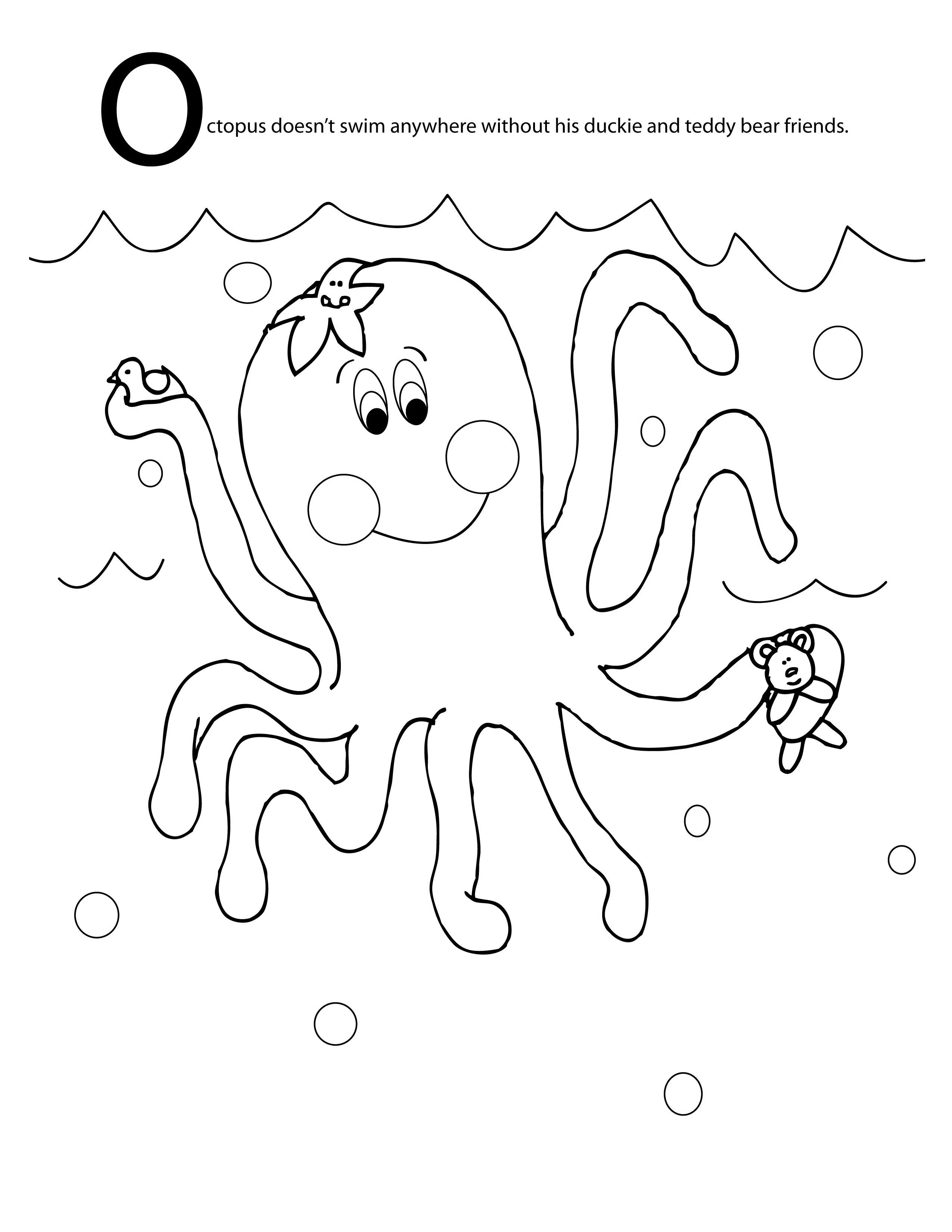 octopus 13