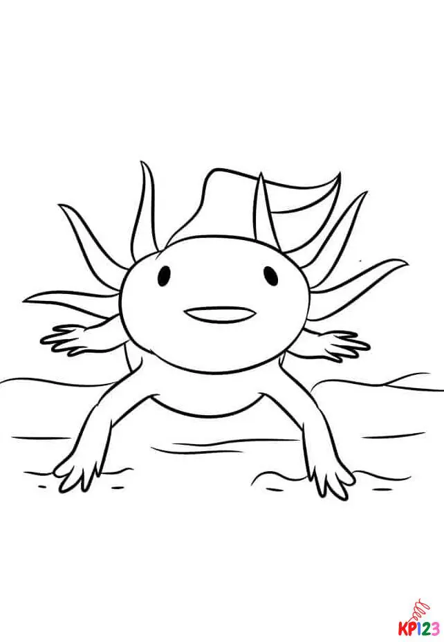 Axolotl 5