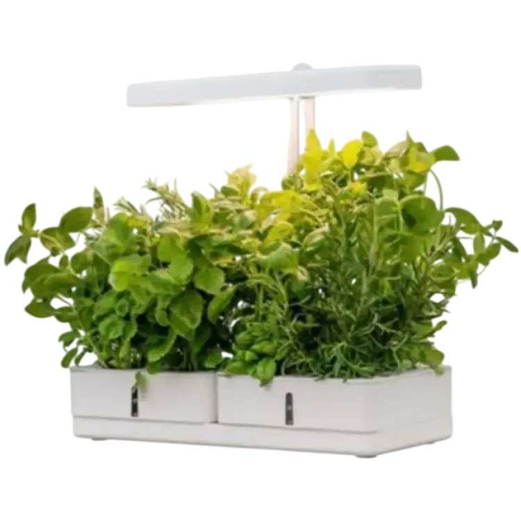 Airam Daisy Växtbelysning 20W 1450lm