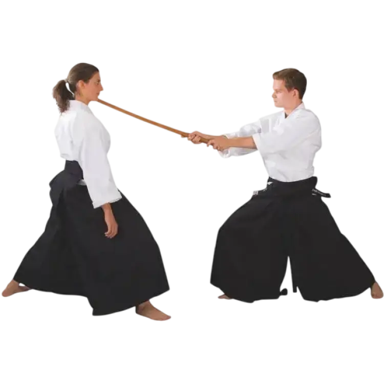 Phoenix Hakama Kendo Aikido Svart 160