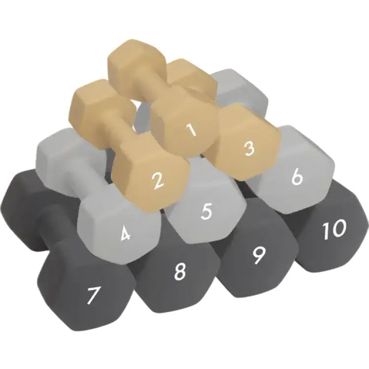 Abilica DumbBell