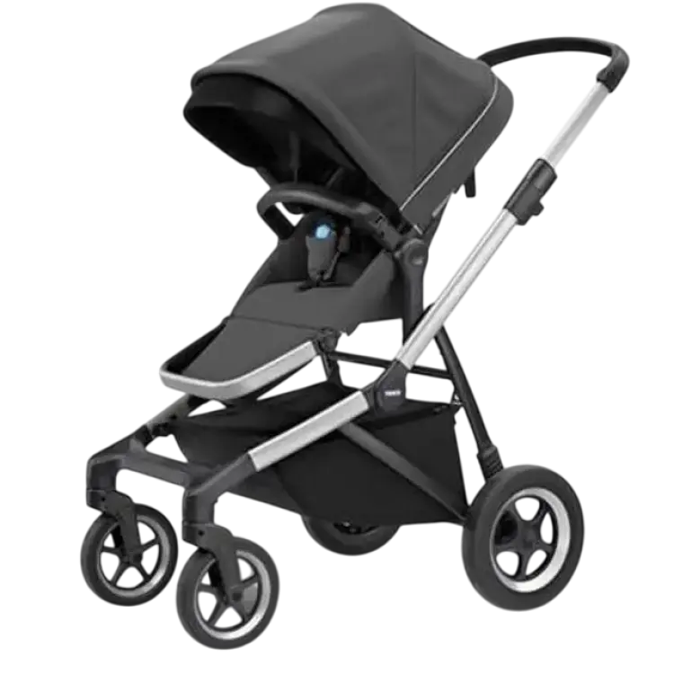 Thule Sleek