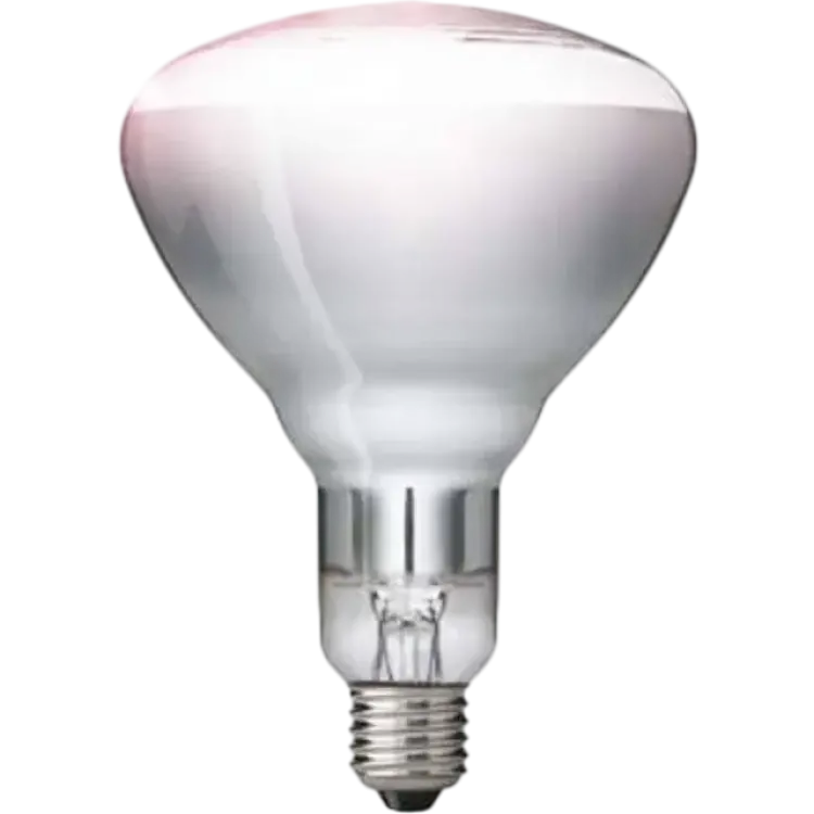 Philips BR125 IR Incandescent Lamp 250W E27