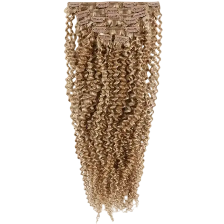 Rapunzel of Sweden Clip-ins Classic 60 cm
