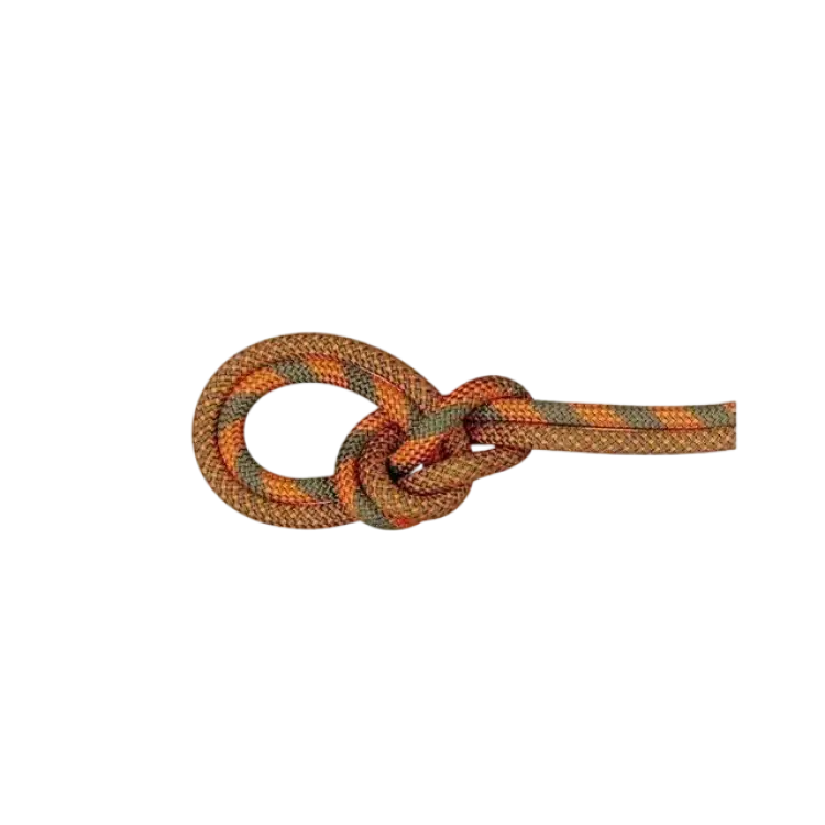 Mammut 9.5 Crag Dry Rope Duodess 70m